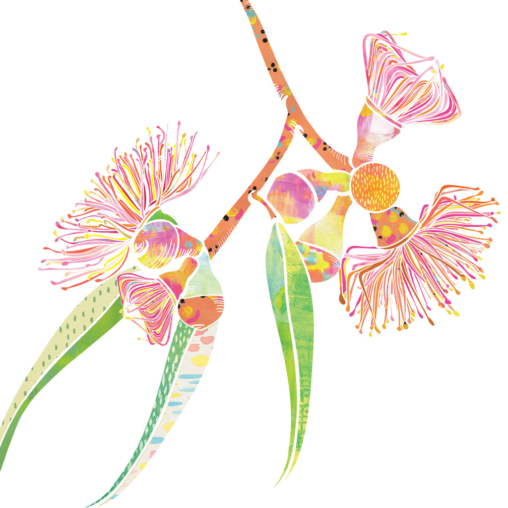 Illustration art print of pink, yellow, orange and green gum blossom flowers.