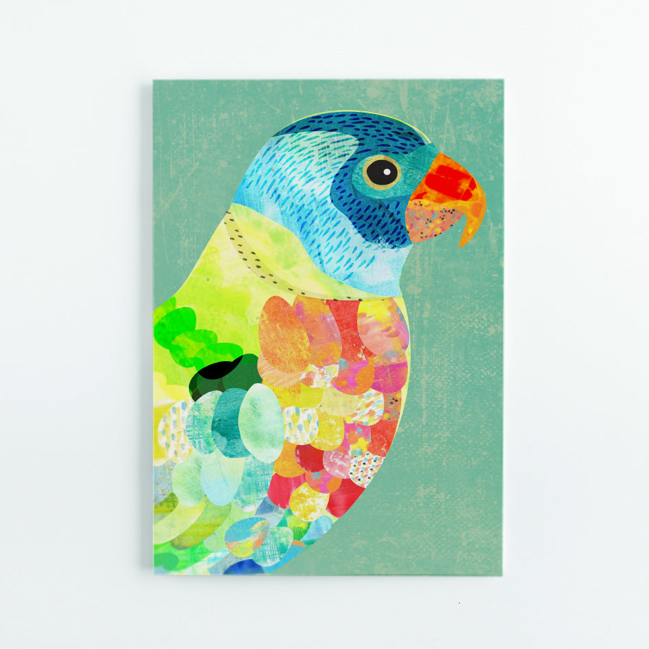 A5 blank Journal - Rainbow Lorikeet (Seconds)