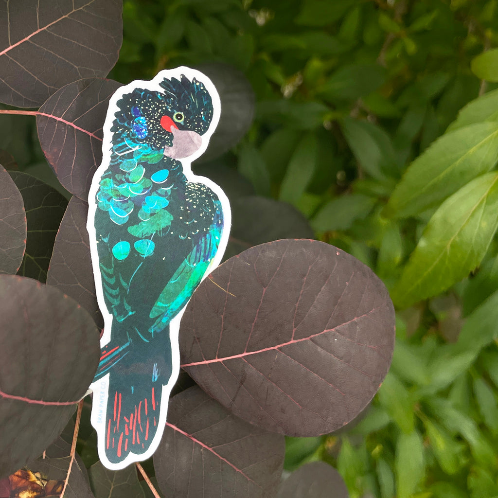 Native Bird - Vinyl Sticker Set
