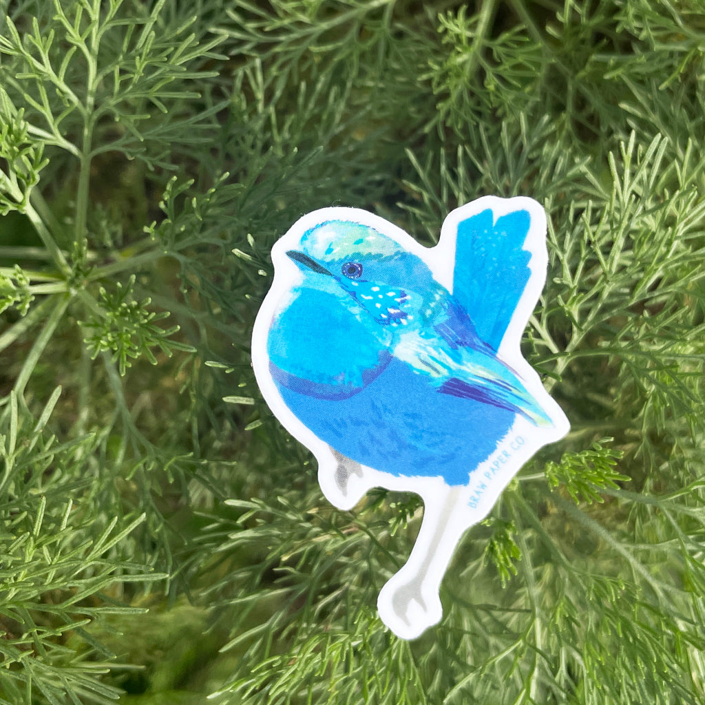 Native Bird - Vinyl Sticker Set