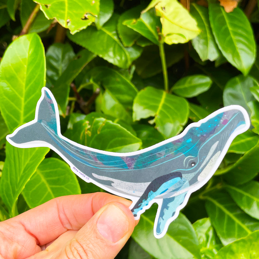 Under The Sea - Vinyl Sticker Set