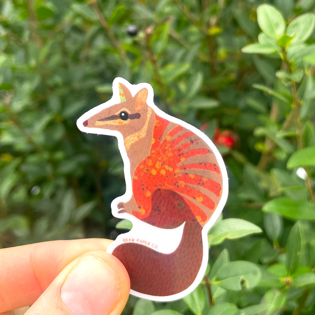 Native Animal - Vinyl Sticker Set