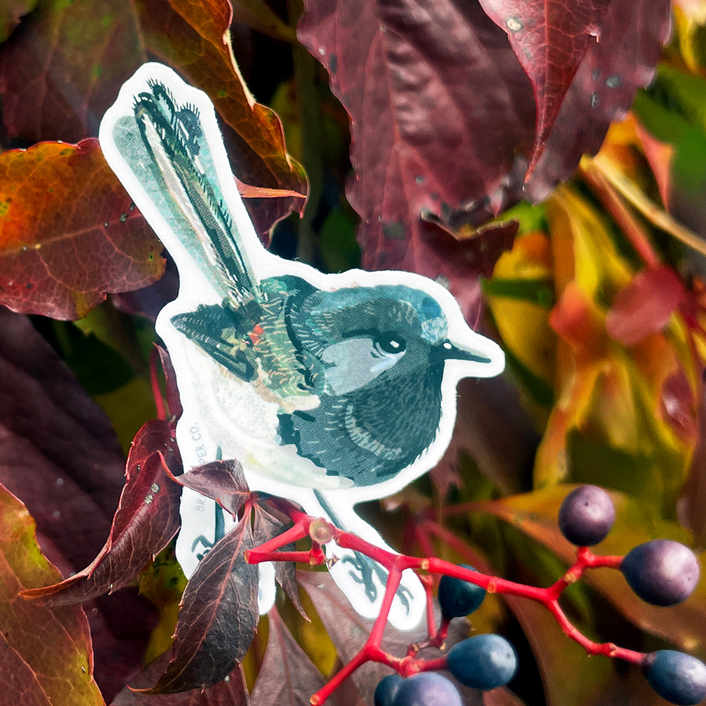 Native Bird - Vinyl Sticker Set