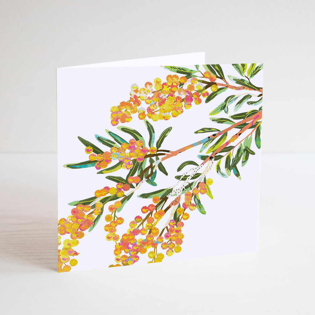 White square mini card with a yellow, orange and green Acacia flower illustration.