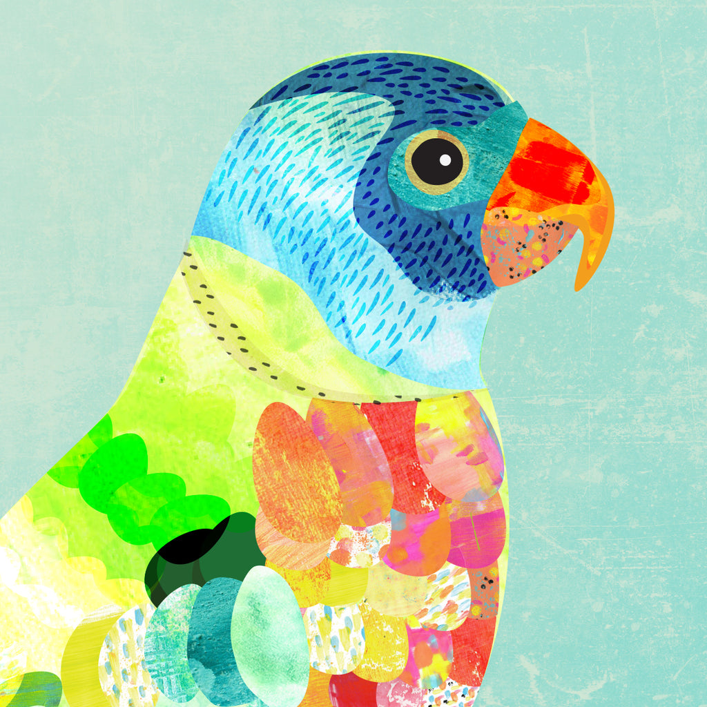 Illustration art print with a blue, red, green Lorikeet bird on mint green background.