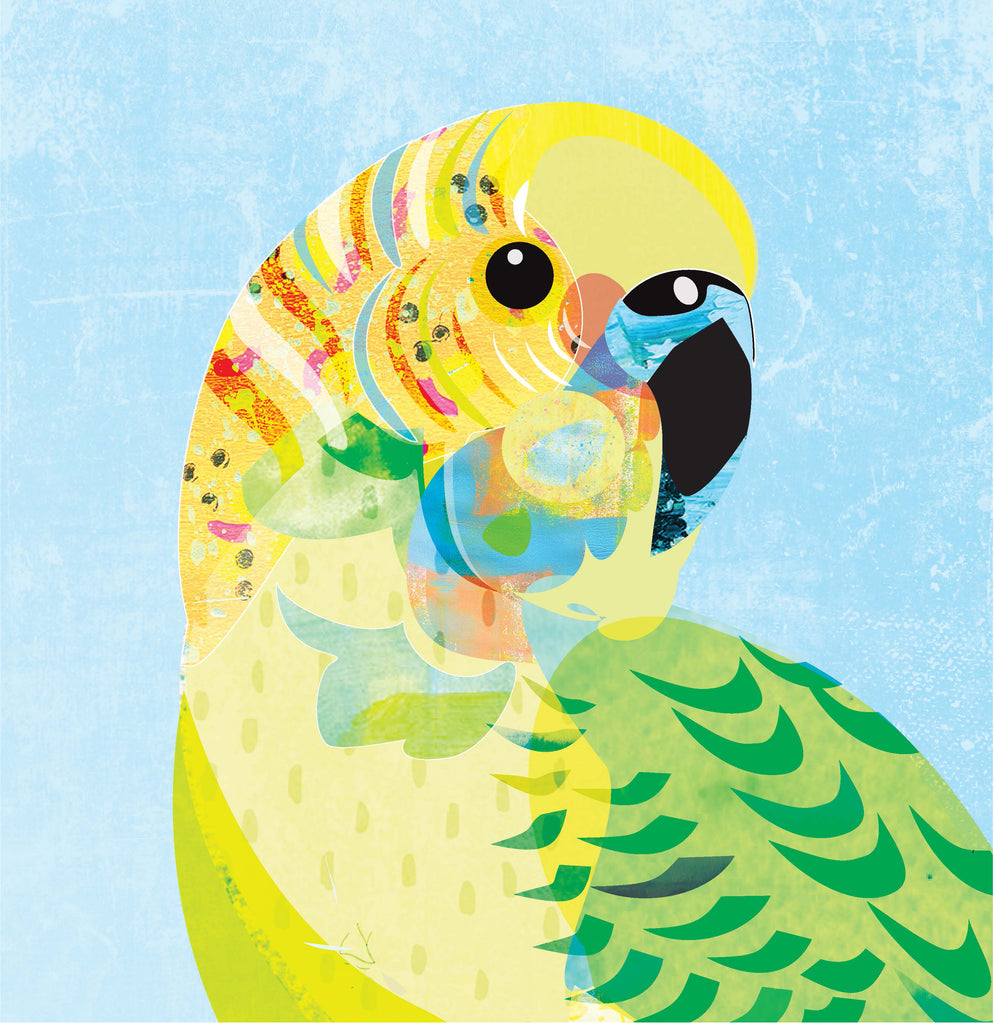 Illustration art print with a green and yellow Budgerigar bird on light blue background.