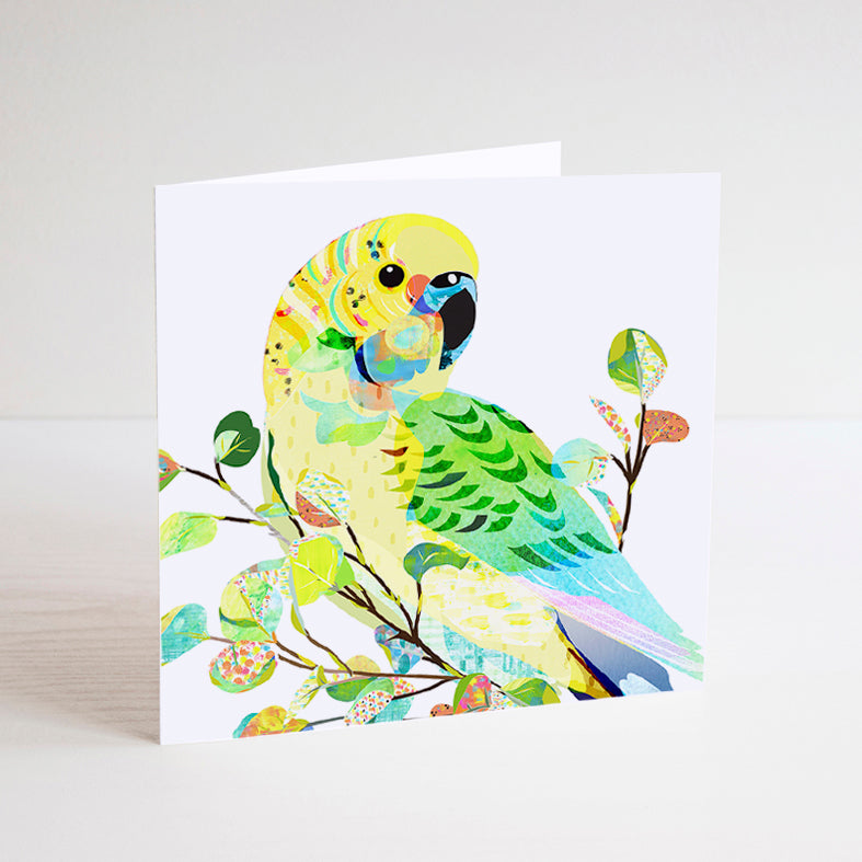 White square mini card with a green and yellow Budgerigar bird on a branch illustration. 