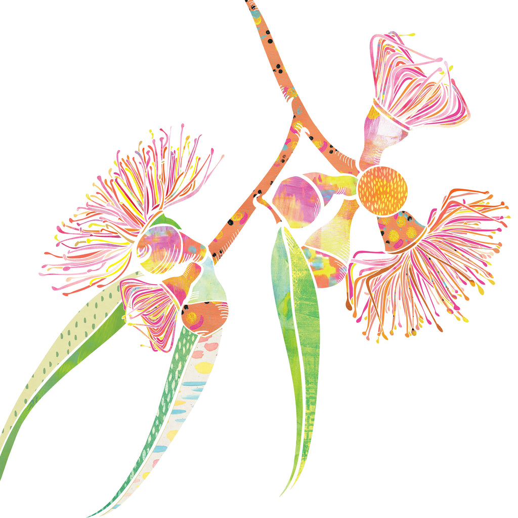 White, square mini card with pink, yellow, orange and green gum blossom flower illustration.