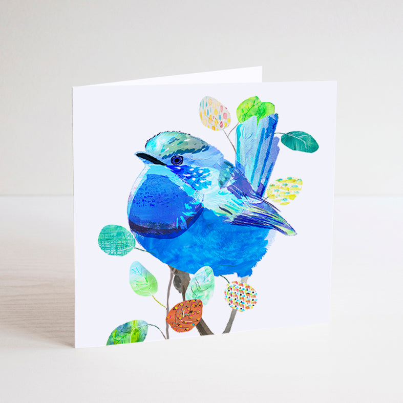 Splendid Fairy-Wren Mini Card - Braw Paper Co