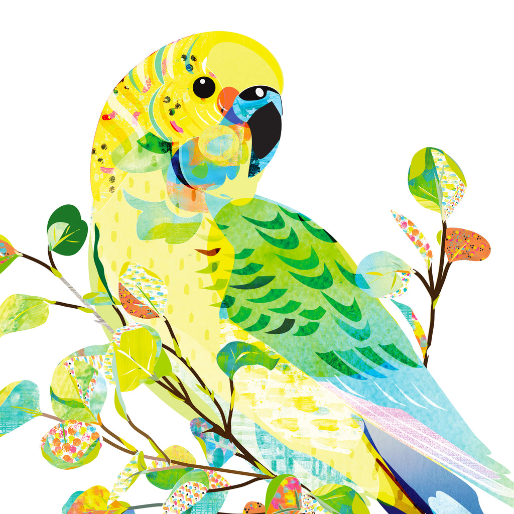 Illustration art print with a green and yellow Budgerigar bird on a branch with colourful leaves.