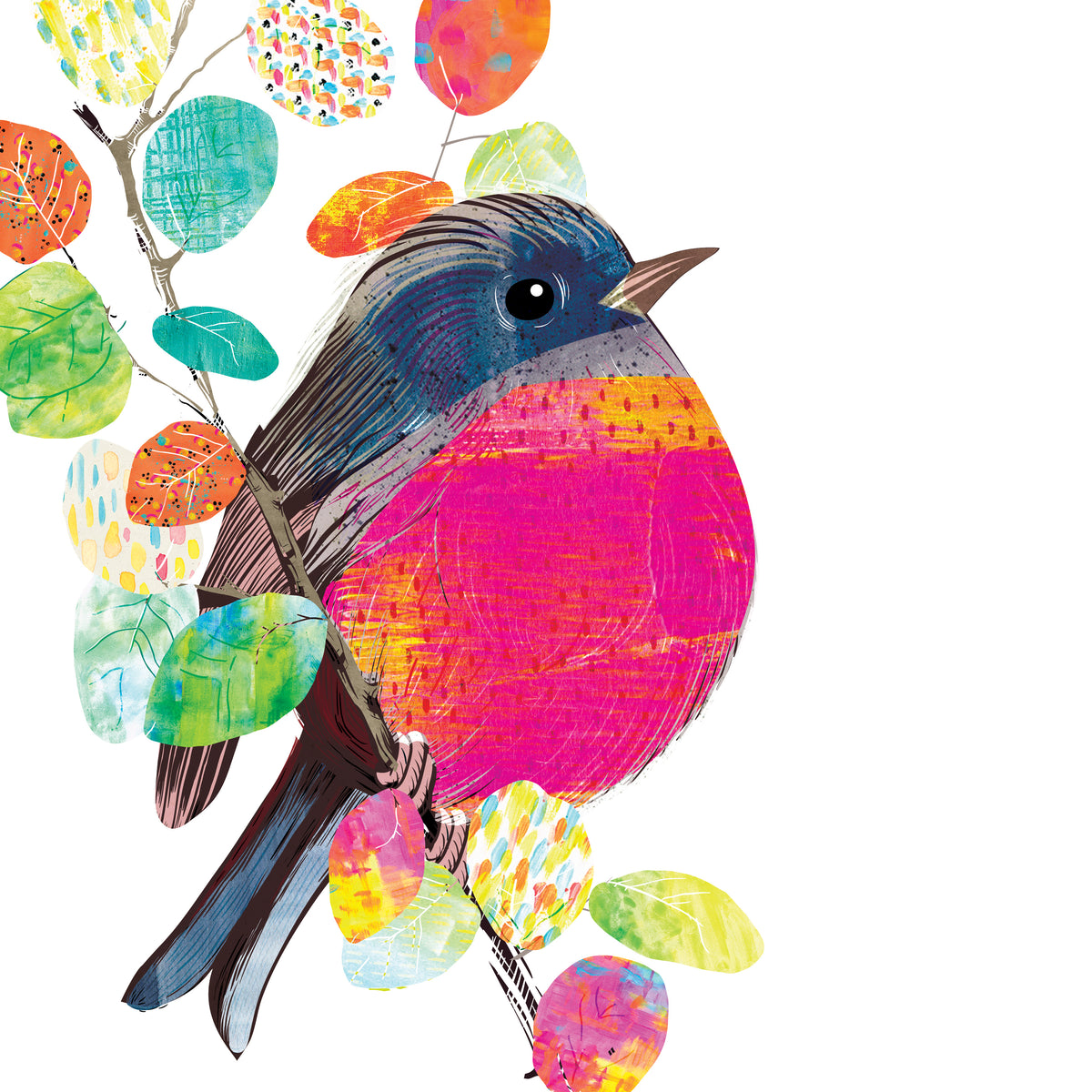 Pink Robin Art Print | Braw Paper Co