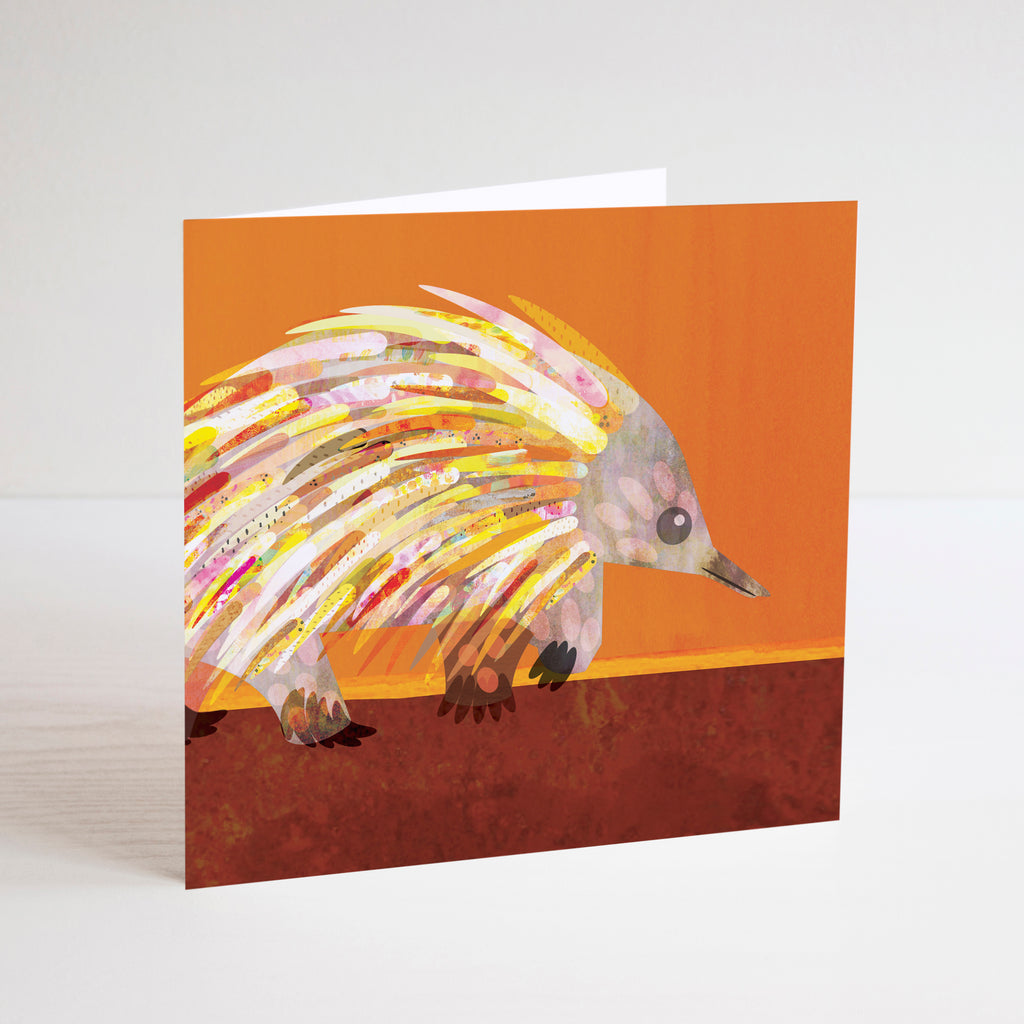 Braw Paper Co. Mini Card Set of 8 Native Animals, Earth Friendly Cards, Australian Made Stationery, Cards ,Mini Card, Note Card, Social Stationery, Colourful Cards, Animal Cards, Australiana, Echidna
