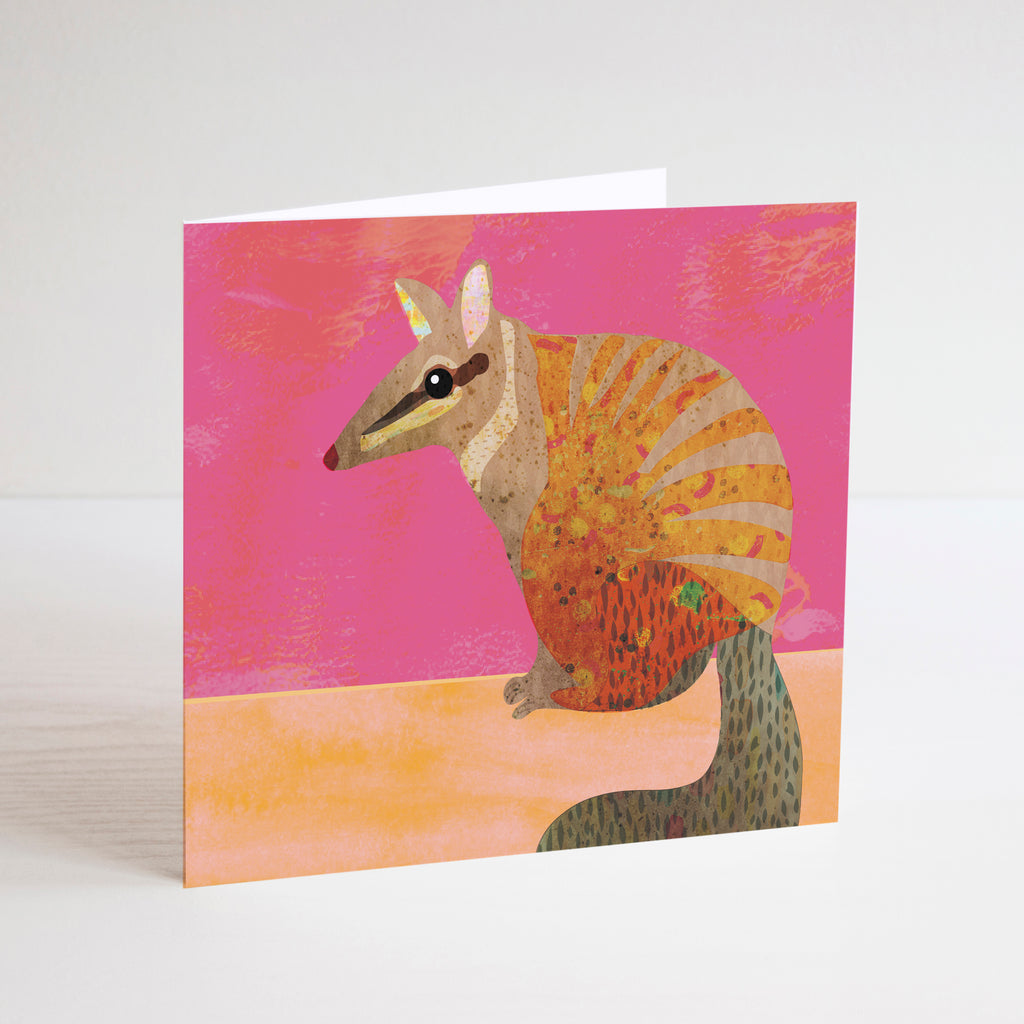 Braw Paper Co. Mini Card Set of 8 Native Animals, Earth Friendly Cards, Australian Made Stationery, Cards ,Mini Card, Note Card, Social Stationery, Colourful Cards, Animal Cards, Australiana, Numbat