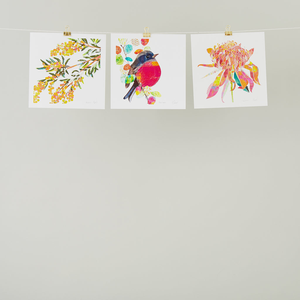 Pink Robin Art Print - Braw Paper Co