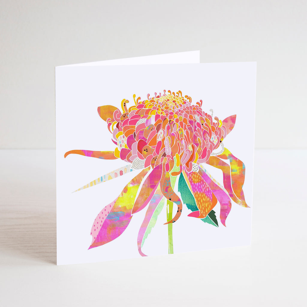 White square mini card with a pink, yellow and orange Waratah flower illustration.