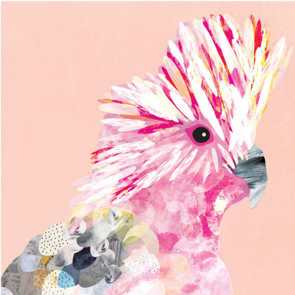Illustration art print with a pink, white and grey Galah bird on peach colour background.