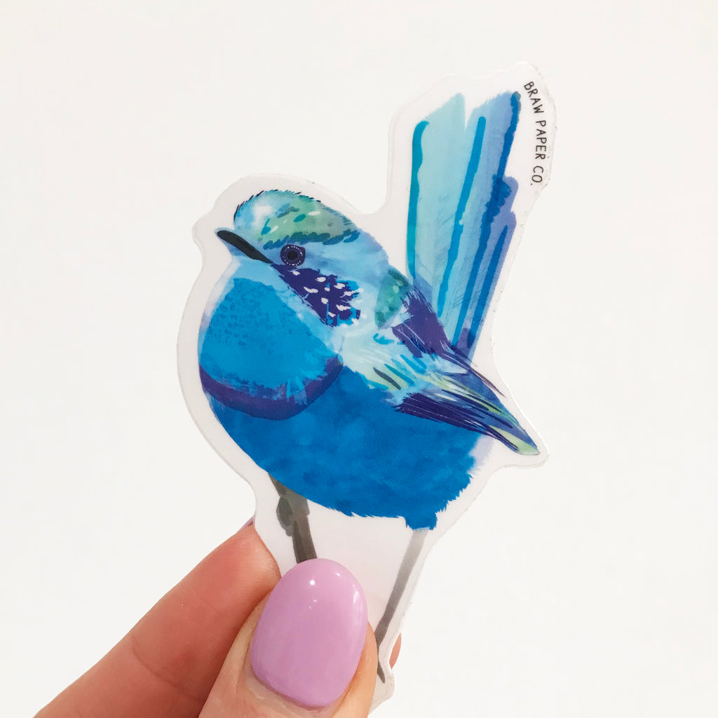 Splendid Fairy-Wren, vinyl sticker, removable sticker for smooth surfaces