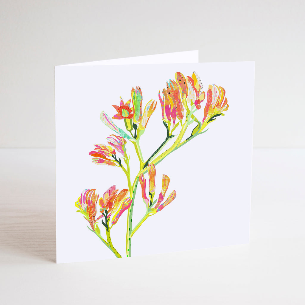 White, square mini card with a red, yellow, orange and pink kangaroo paw flower illustration.